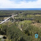 A 5000 m² land plot surrounded by a pine forest for private development is for s