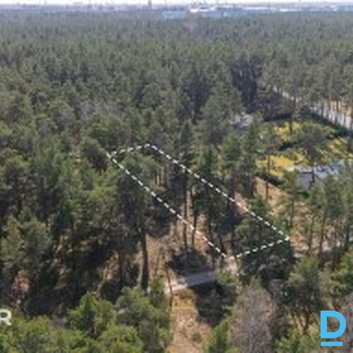 Zeme privātmāju apbūvei, priežu meža ielokā  - 2300m²