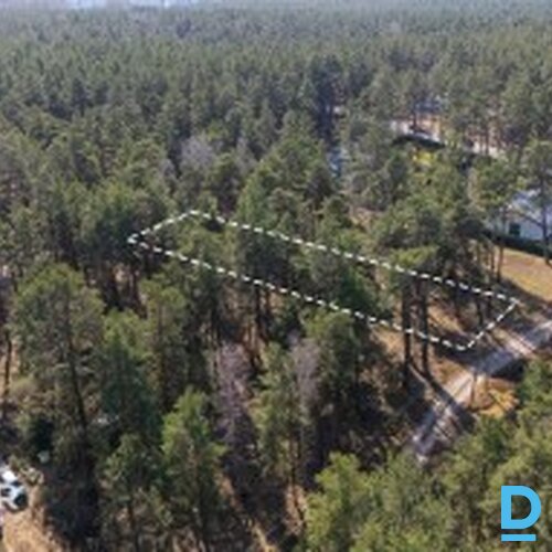 Zeme privātmāju apbūvei, priežu meža ielokā  - 2300m²