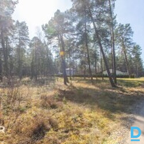 Zeme privātmāju apbūvei, priežu meža ielokā  - 2300m²