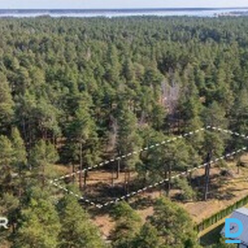 Zeme privātmāju apbūvei, priežu meža ielokā  - 2300m²