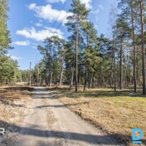 Zeme privātmāju apbūvei, priežu meža ielokā  - 2300m²