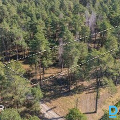 Zeme privātmāju apbūvei, priežu meža ielokā  - 2300m²