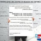 WE OFFER WORK in NETHERLANDS and BELGIUM 