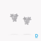 For sale Graff Wild Flower Diamond Cluster Stud Earrings