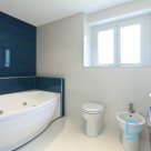 Offer Steam cleaning of the bathroom