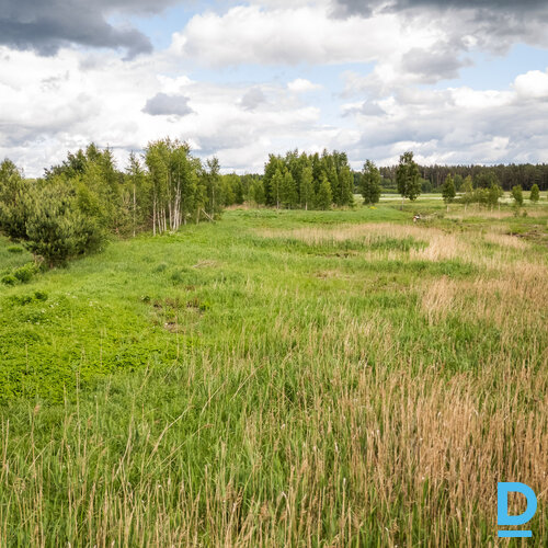 Pārdod zemi Jelgavas nov. Pārdod zemi Jelgavas nov.
