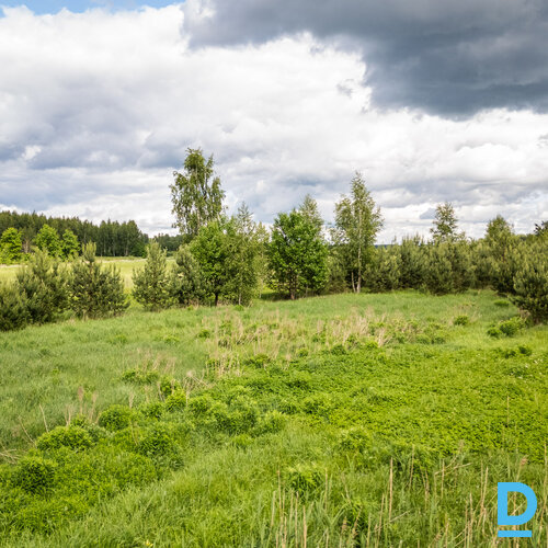 Pārdod zemi Jelgavas nov. Pārdod zemi Jelgavas nov.
