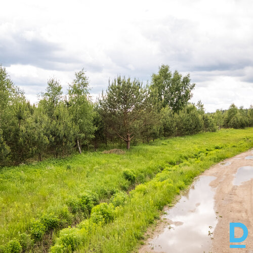 Pārdod zemi Jelgavas nov. Pārdod zemi Jelgavas nov.