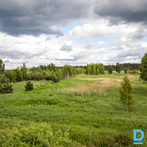 Pārdod zemi Jelgavas nov. Pārdod zemi Jelgavas nov.