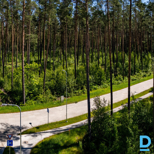 Viens no pēdējiem šāda veida zemes gabaliem šajā apkaimē - 1278 m² zemes gabals 