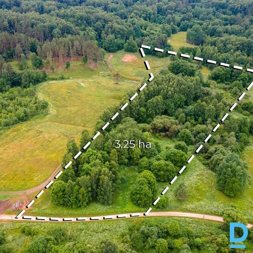 Ekskluzīvs ainavisks īpašums ar pieaugušu mežu Rāznas nacionālajā parkā Ekskluzīvs ainavisks īpašums ar pieaugušu mežu Rāznas nacionālajā parkā