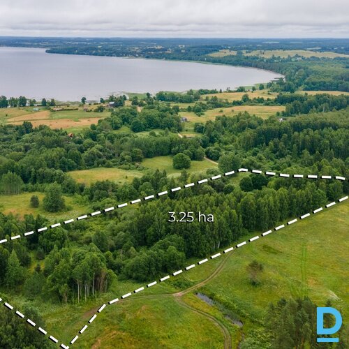 Ekskluzīvs ainavisks īpašums ar pieaugušu mežu Rāznas nacionālajā parkā Ekskluzīvs ainavisks īpašums ar pieaugušu mežu Rāznas nacionālajā parkā
