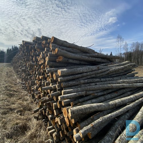 PIEMAKSA ĪPAŠNIEKAM PAR KOKMATERIĀLU