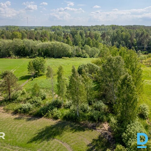 Pārdošanā 7000 m² zemes gabals pie Salacas upes, Staicelē.Īpašums ir lieliski pi