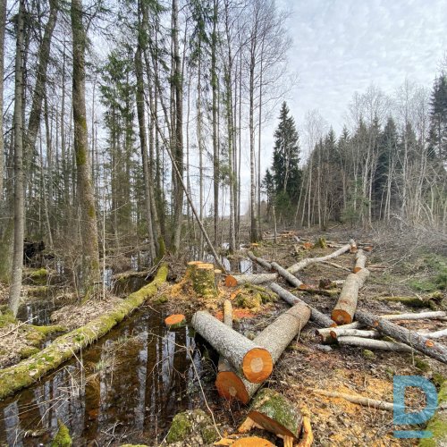 PIEMAKSA ĪPAŠNIEKAM PAR KOKMATERIĀLU