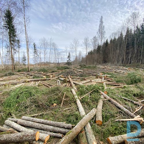 PIEMAKSA ĪPAŠNIEKAM PAR KOKMATERIĀLU