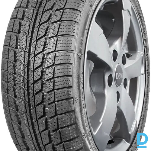 SUNNY SN3830 SNOWMASTER 225 55 R19 99V