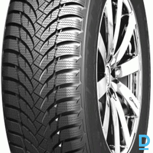 NEXEN WINGUARD SNOWG (WH2) 205 60 R15 91T