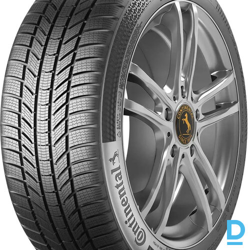 CONTINENTAL WINTERCONTACT TS870 P 315 40 R21 111V