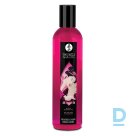 Dušas želeja Ķirsis Shunga - 250 ml