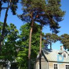 Houses for rent in Jurmala, Bulduri for summer