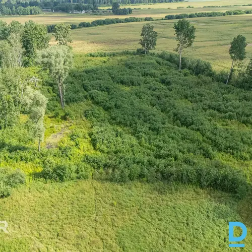 Lauksaimniecības zeme 9.6ha pie ceļa Lauksaimniecības zeme 9.6ha pie ceļa