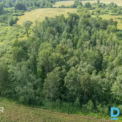 Lauksaimniecības zeme 9.6ha pie ceļa Lauksaimniecības zeme 9.6ha pie ceļa