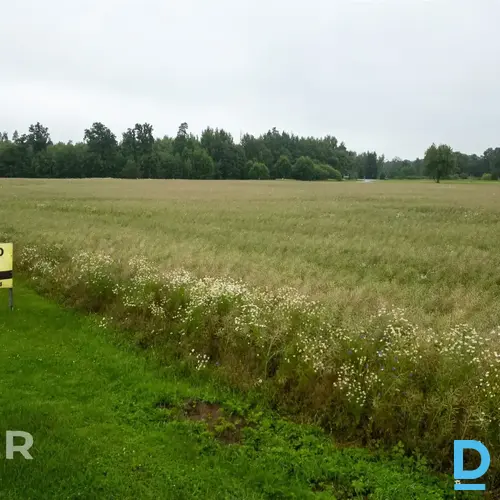 Pārdošanā 2 ha zemes gabals pie Mālpils apļa, 1.2 km no Mālpils centra.Zeme atro Pārdošanā 2 ha zemes gabals pie Mālpils apļa, 1.2 km no Mālpils centra.Zeme atro