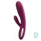 Zaķa vibrators Adonīs no Svakom violēts