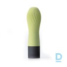 Vibrators ZEN Matcha no Iroha by Tenga