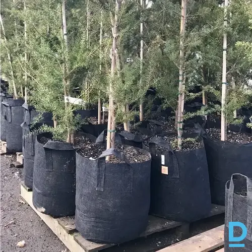 Root Pouch Black 45 L izturīgs auduma pods ar rokturiem Root Pouch Black 45 L izturīgs auduma pods ar rokturiem