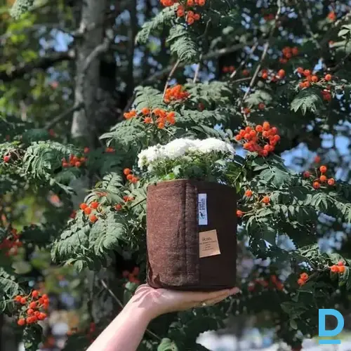 Root Pouch Boxer Brown augu audzēšanas maiss 3,8 L 15x19 cm Root Pouch Boxer Brown augu audzēšanas maiss 3,8 L 15x19 cm