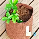 Root Pouch Boxer Brown augu audzēšanas maiss 3,8 L 15x19 cm