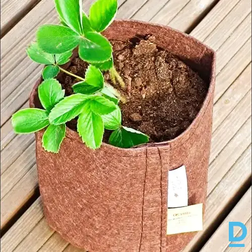 Root Pouch Boxer Brown augu audzēšanas maiss 3,8 L 15x19 cm
