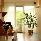 Apartment for rent in Riga