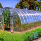 Greenhouse ‘GARDEN’ for sale