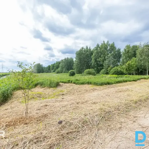Pārdošanā 2931 m² zemes gabals privātai apbūvei 200m no Babītes ezera.Zeme atrod