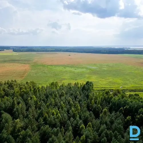 Pārdod meliorētu lauksaimniecības zemi – 5,76 ha, Valmieras novadāPiedāvājumā la Pārdod meliorētu lauksaimniecības zemi – 5,76 ha, Valmieras novadāPiedāvājumā la