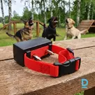 Регулируемый ошейник антилай с 5 уровнями электроимпульса
