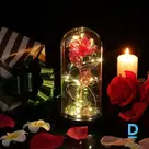 For sale Decorative rose in a dome with LED lighting
