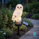 Saules LED dārza lampa pūces formā, 43 cm