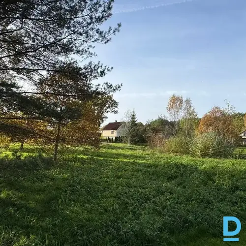 Pārdod zemi Salenieki 232 Pārdod zemi Salenieki 232