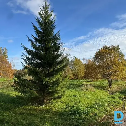 Pārdod zemi Salenieki 232 Pārdod zemi Salenieki 232