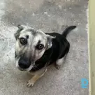 Fiona