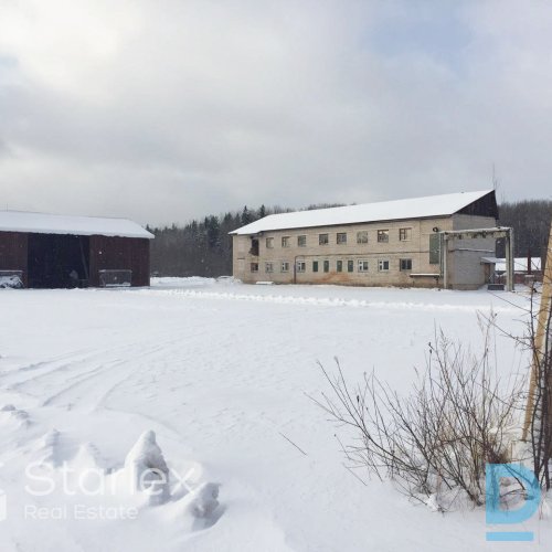 Kokapstrādes uzņēmums "Balvi-Holm"