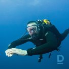 Offers OWD diving courses