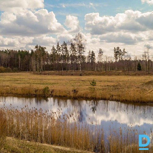 3001 m² apbūves zeme, Bebru iela 29, 31, Skujnieki, Ķekavas pagasts, Ķekavas novads, Latvija.