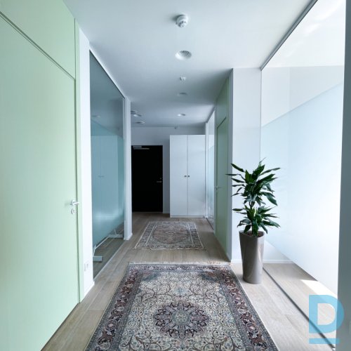 Izīrē kabinetu salonā