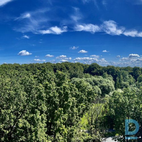 Unikāls 3-istabu penthauss pieejams īrei Ciemupes iela 2, Juglā, Rīgā. Unikāls 3-istabu penthauss pieejams īrei Ciemupes iela 2, Juglā, Rīgā.